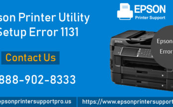 Epson Printer Utility Setup Error 1131