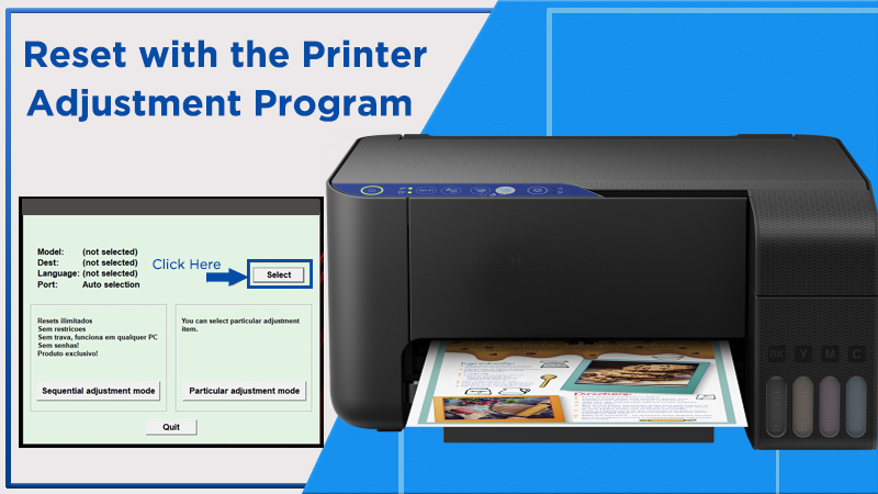 Reset with the Printer Adjustment Program